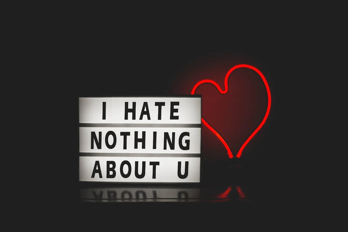 I Hate Nothing About You